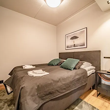 Apartament C10 Center Incl 2 Passes By Aavalevi