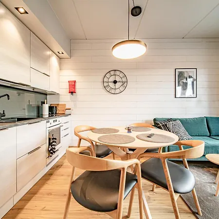 C10 Center Incl 2 Passes By Aavalevi Apartament Levi