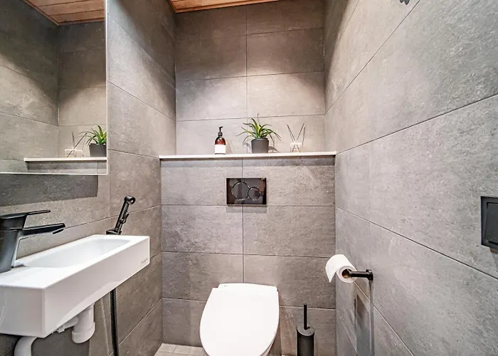 C10 Center Incl 2 Passes By Aavalevi 아파트